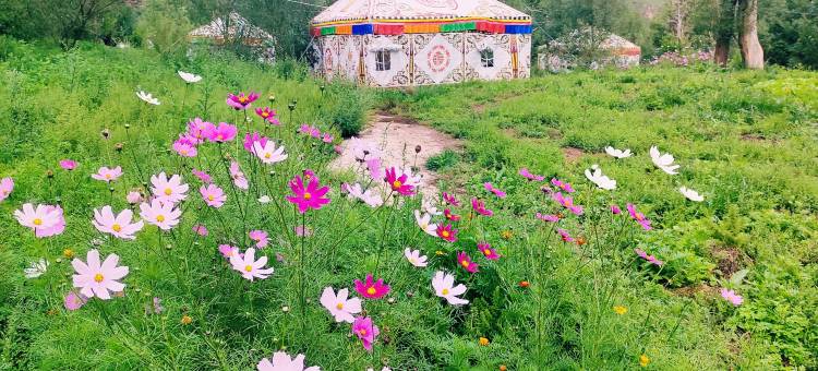 昌都若巴温泉大酒店图片