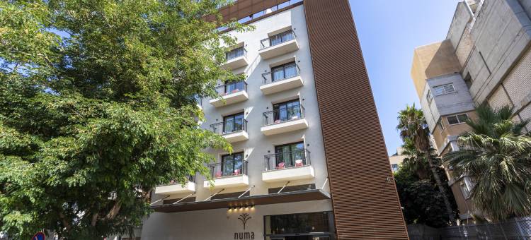 雅法努玛酒店(Numa Hotel Jaffa)图片