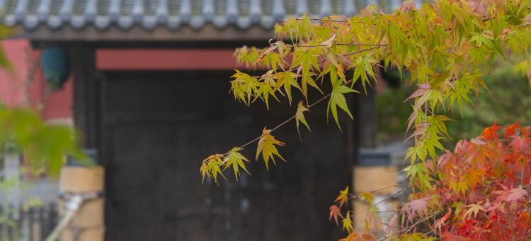 坐忘·元所·云峰桢里酒店图片