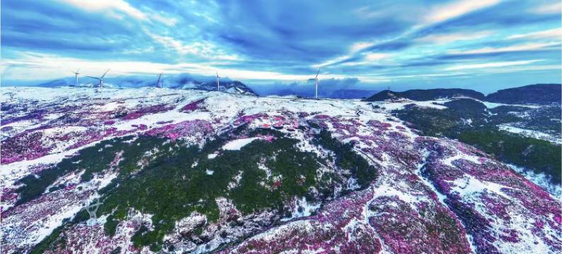 盘州敏诚招待所图片