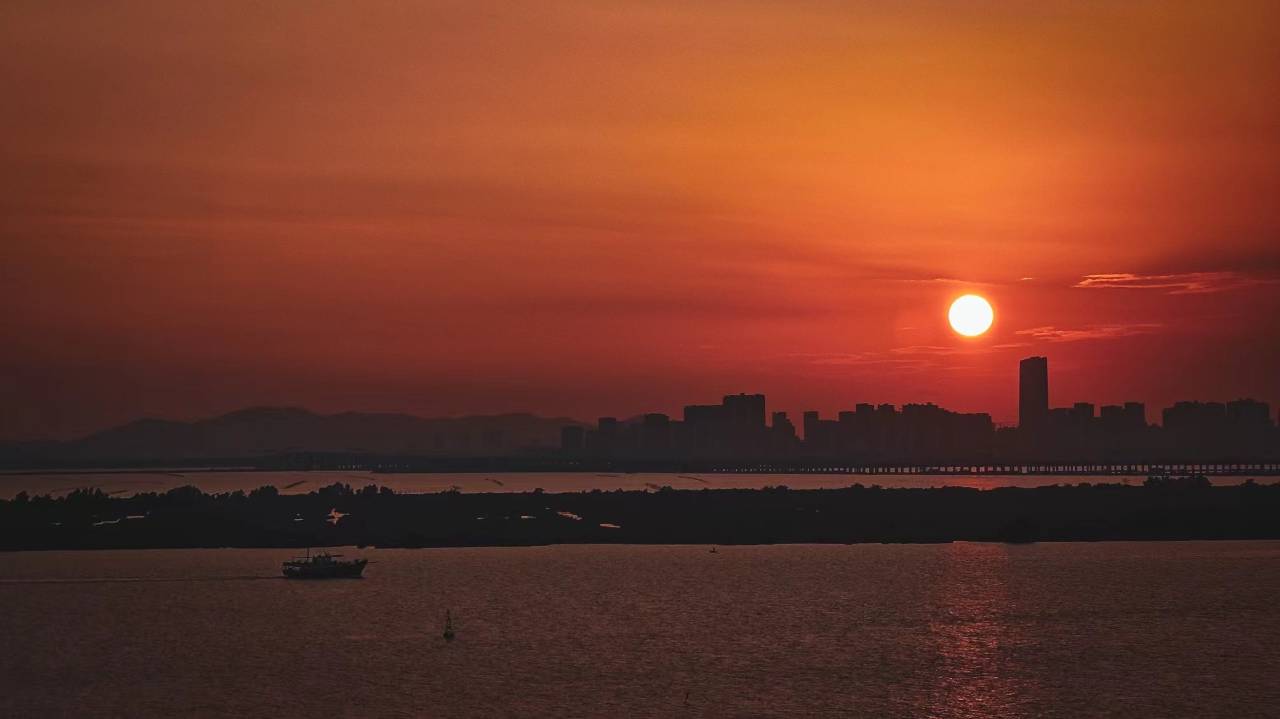 珠海横琴臻林酒店图片