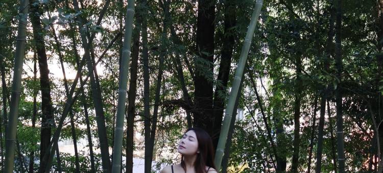 花水湾第一村森林温泉酒店图片
