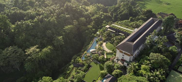 巴厘岛乌布威斯汀水疗度假酒店(The Westin Resort & Spa Ubud, Bali)图片