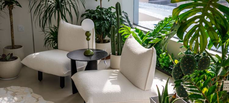 枸杞栖梦绘山海民宿图片