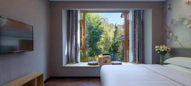 时间里丨临溪森氧雪山观景Holiday Hotel(丽江古城大水车店)图片