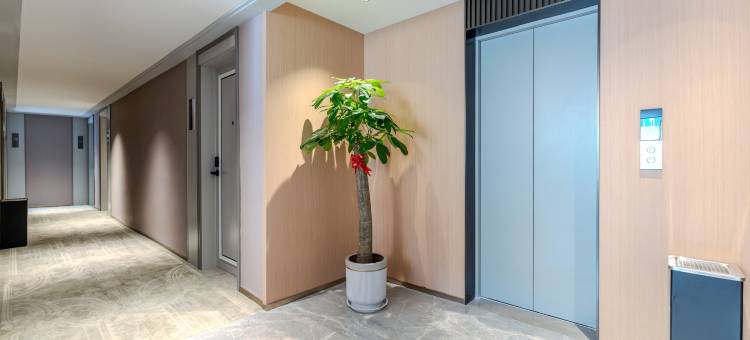 悦豪丽致酒店(陕西历史博物馆大唐不夜城店)图片