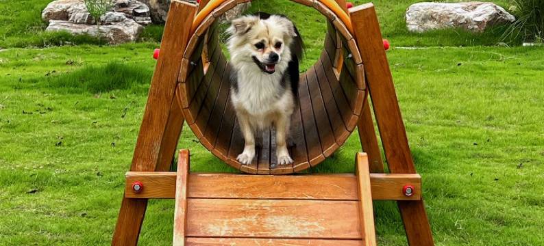 成都温江悦椿酒店图片