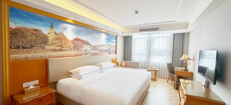 维也纳酒店(常州青枫公园店)图片