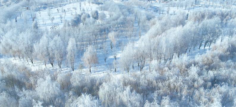可克达拉天一酒店(鑫时代购物中心店)图片