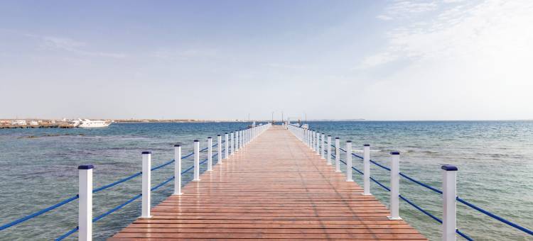 天翁丹娜海滩水乐园(Pickalbatros Dana Beach Resort - Aqua Park)图片