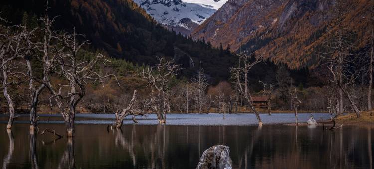 悠然牧居智能酒店(四姑娘山店)图片