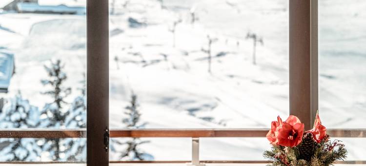 帕瑞隆酒店(Alpes Hôtel du Pralong)图片