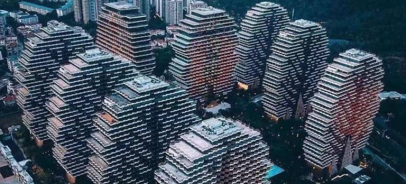 三亚大树之冠度假公寓图片