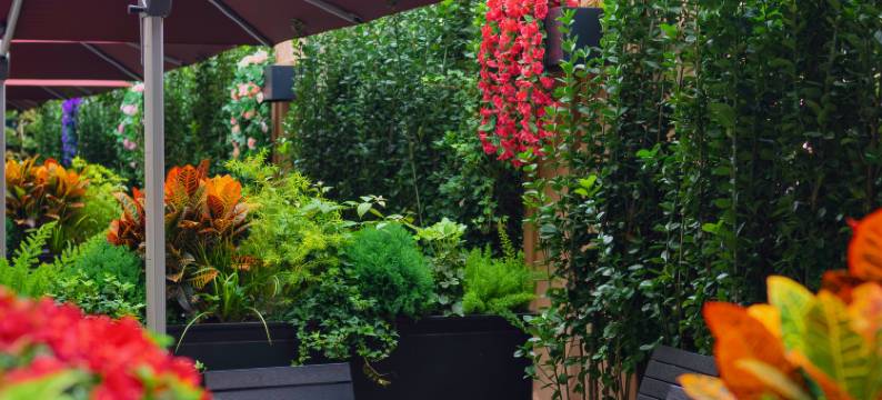 大隐丨隐逸花园酒店(上海静安大悦城苏州河店)图片