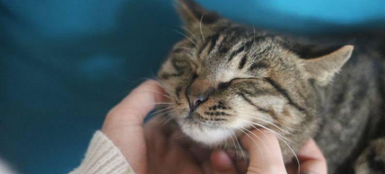 安吉1913民宿(Hello Kitty乐园店)图片