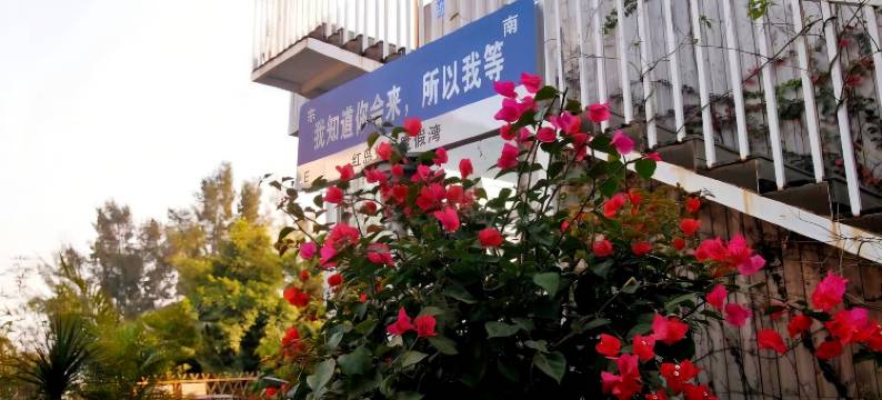 湛江特呈红岛休闲度假湾酒店图片