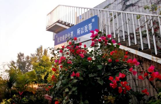 湛江特呈红岛休闲度假湾酒店