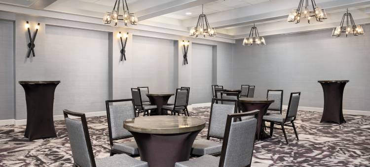 希尔顿大使套房酒店 - 水晶城国家机场(Embassy Suites by Hilton Crystal City National Airport)图片