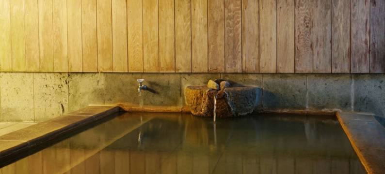 若喜日式旅馆(Wakaki Ryokan - Nasu Yumoto Onsen)图片
