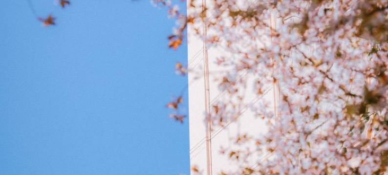 成都雅居乐豪生大酒店图片