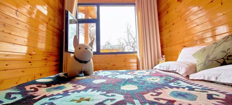 观星酒店(阿拉善英雄会场梦想沙漠公园店)图片