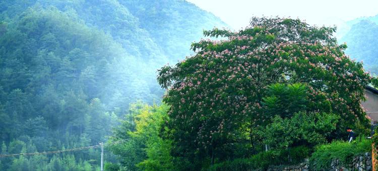 桐庐厚院村舍民宿图片