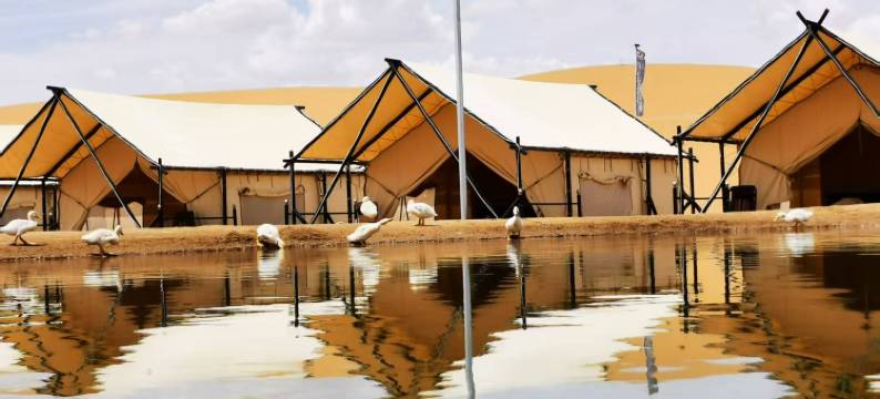 大漠之城沙漠宿集图片