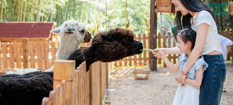 长兴开元名都臻品之选度假酒店图片