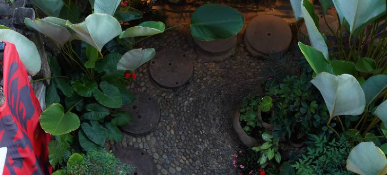 西双版纳云庐莲心居民宿图片