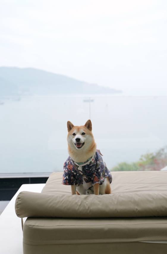 蜜悦·深圳圣托里尼海景度假美宿图片