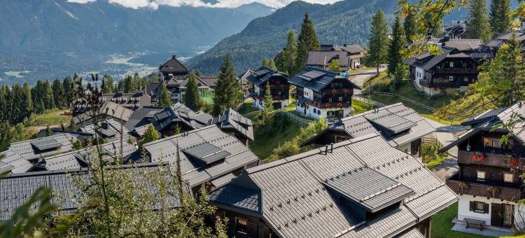 索勒特哈皮玛格度假村(Hapimag Resort Sonnleitn)图片