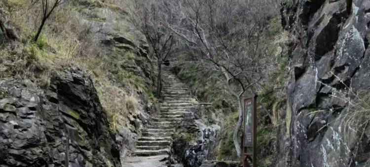 星野望月民宿(庐江汤池温泉旅游度假区店)图片