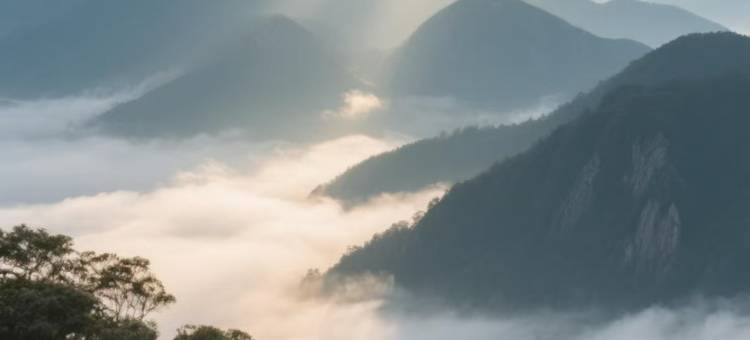 黔花之筑TheGlowingNexusoftheCity星晨酒店(衡阳站南华大学店)图片