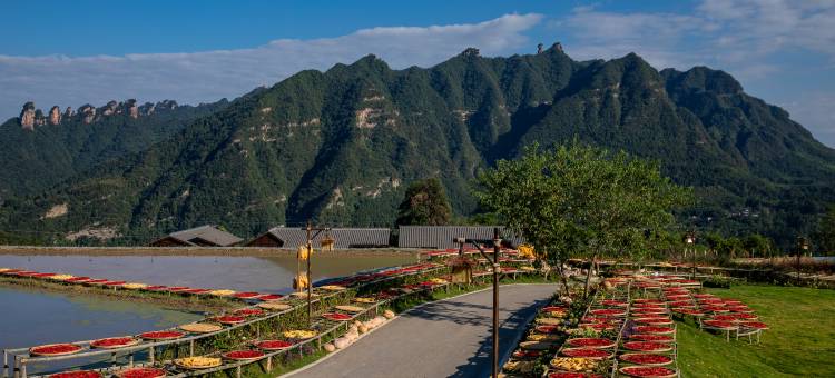 携程度假农庄(张家界缦心联营店)图片