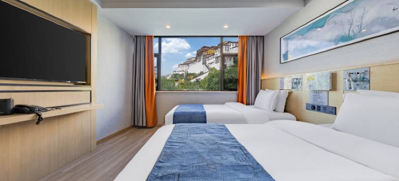 拉萨岷山航空酒店(布达拉宫店)图片