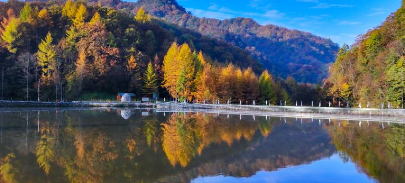 神农架神农天池民宿图片
