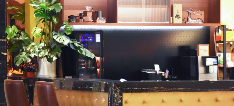 碧桂园太阳城凤悦凤凰酒店(韶关高铁站店)图片