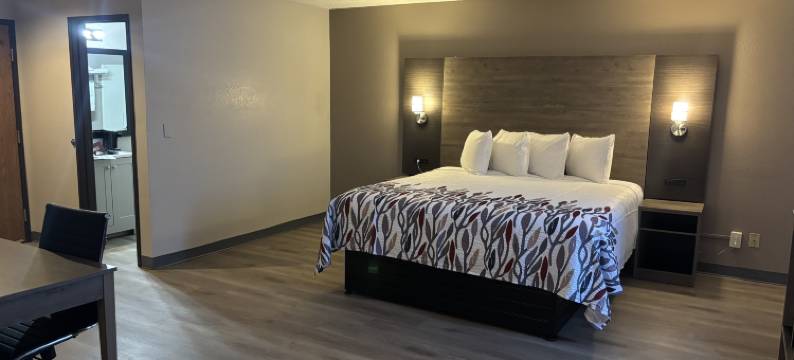 红屋顶套房酒店，汉蒙德，印第安纳州(Red Roof Inn & Suites Hammond, IN)图片