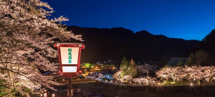 别馆深山樱庵 平汤馆 (Hirayukan)(Miyamaouanbekkan yumegurinoyado hirayukan)图片