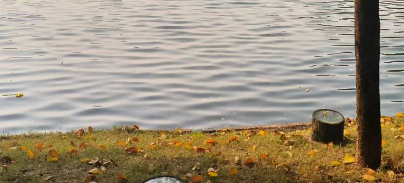 美豪丽致酒店(佛山乐从天佑城店)图片