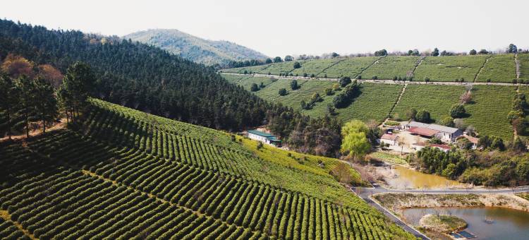 郎溪花涧民宿图片