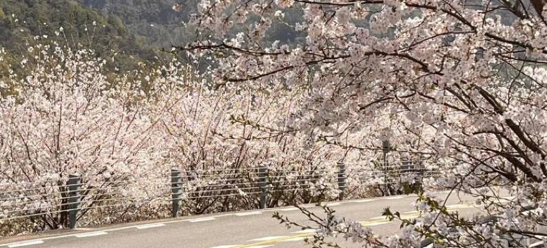 宁波沄野和光·栖霞坑民宿图片