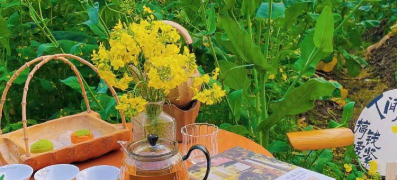 望婺源·流苏小筑·篁岭设计师民宿图片