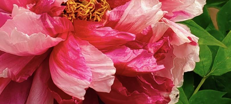 花筑·香山草堂(洛阳龙门石窟店)图片