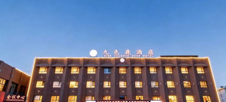 敦煌九色鹿酒店(敦煌夜市店)图片