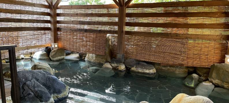 温泉旅馆欣喜汤别邸 忍冬(Kinkiyu Hotel Bettei SUIKAZURA)图片