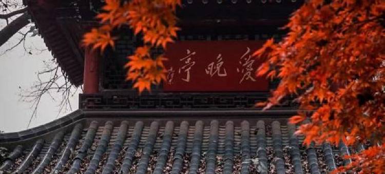 长沙欢致酒店(五一广场IFS国金中心店)图片