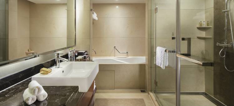 重庆江北希尔顿逸林酒店图片