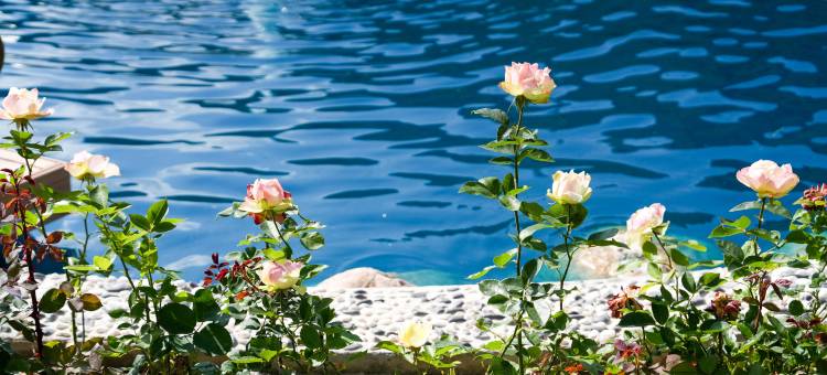 花筑·遮阳山天华民宿图片