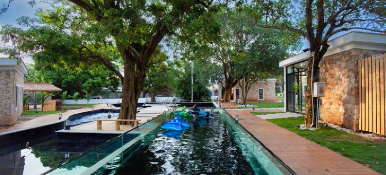 涠洲岛布氏鲸艺术酒店图片